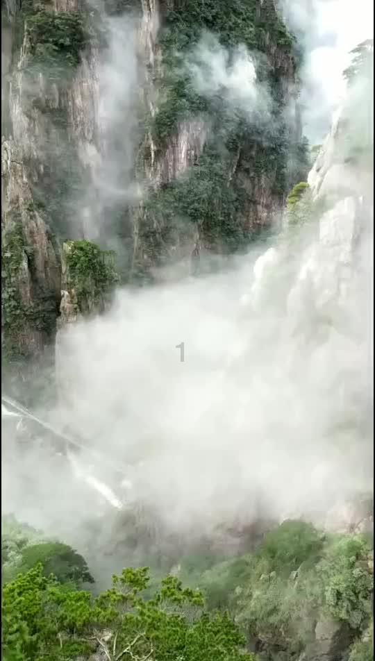 蓝狐视频